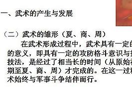 武術(shù)運動概述