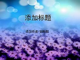 夢幻藝術(shù)菊花背景ppt模板