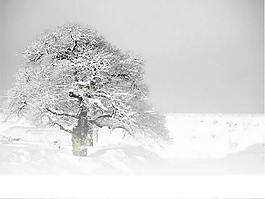 下雪了風景ppt模板