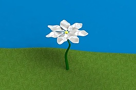 花