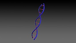蜘蛛人的DNA