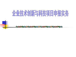 企業技術創新與項目申報實務ppt模板