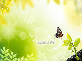 樹苗發(fā)芽清新背景ppt模板