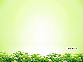 茉莉清香背景ppt模板