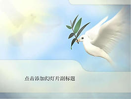 和平鴿背景ppt模板