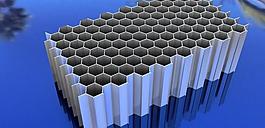 honeycomb2024