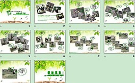 惱怒的大熊貓PPT模板
