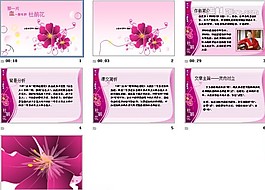 粉紅杜鵑花PPT背景模板