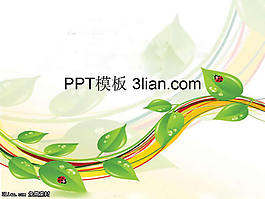 時尚花紋PPT模板