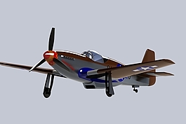 P51