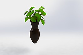 植物在花瓶