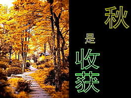 愛護地球PPT模板