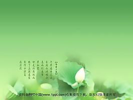 绿叶设计PPT模板