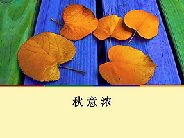 秋意濃PPT模板