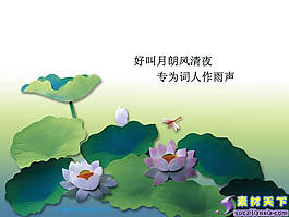 荷韻清香PPT模板下載