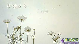生如夏花PPT模板