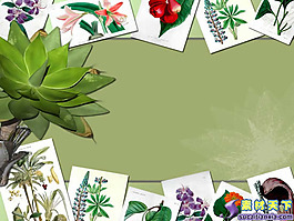 綠色植物花卉PPT模板