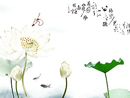 荷花中国风ppt模板