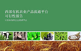 農產品流通平臺可行性報告PPT模板