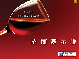 印象酒業(yè)招商策劃PPT模板