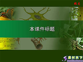 初中生物生命活動調節PPT課件模板