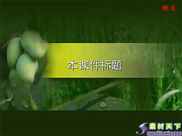 中學生物教學植物類課件PPT模板