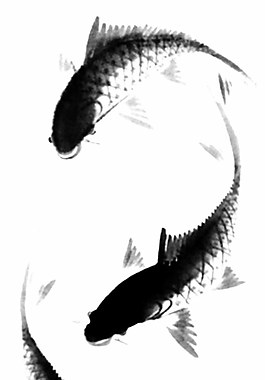 水墨魚動物圖片PSD素材