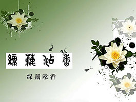 綠藕添香PPT模板
