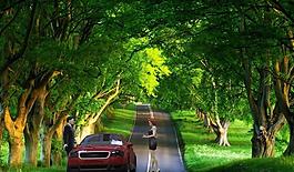 奧迪TT跑車