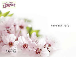 感恩母親節(jié)康乃馨PPT模板