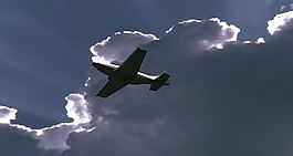 P 51野馬