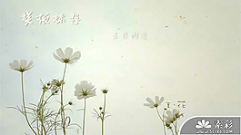 生如夏花唯美PPT模板