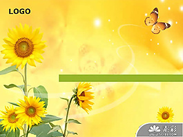 蝴蝶向日葵PPT模板