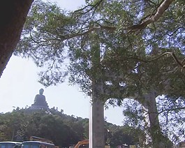 世界名勝