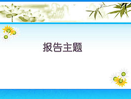 商業項目報告PPT模板