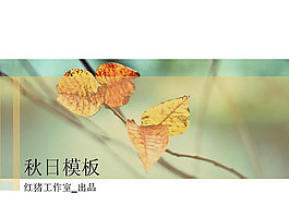 黃色秋季樹葉PPT模板