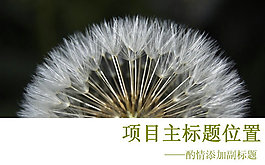 飄飛蒲公英PPT模板