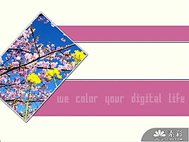 春天桃花PPT模板