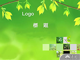 綠色植物綠葉PPT模板