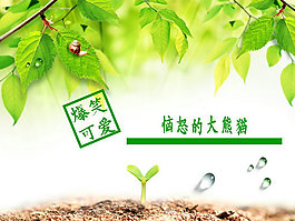 綠色惱怒的大熊貓PPT模板