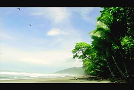 美麗海灘