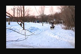 雪景視頻素材素材下載