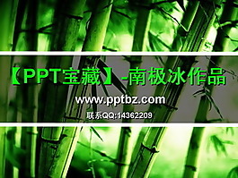 清爽竹林ppt模板（南极冰站长作品）