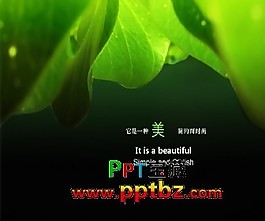 綠色主題ppt模板：給你一點綠
