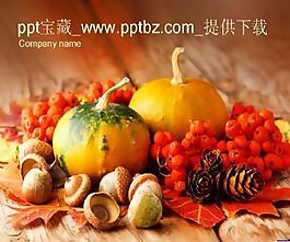 蔬菜水果ppt模板
