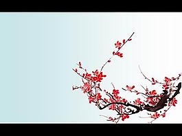 古典梅花