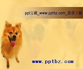 寵物狗ppt模板