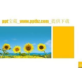 向日葵ppt模板