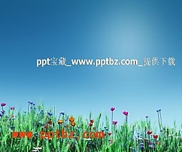 多彩小花朵ppt模板