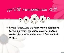 粉紅淡雅小白菊ppt模板